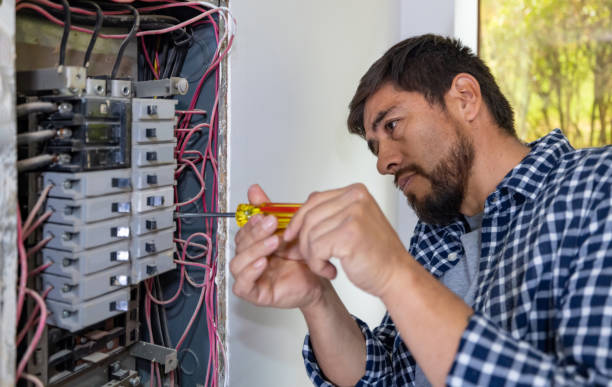 Best Electrical System Inspection  in Lake Lure, NC